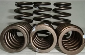 Pac brake 60# Valve Springs